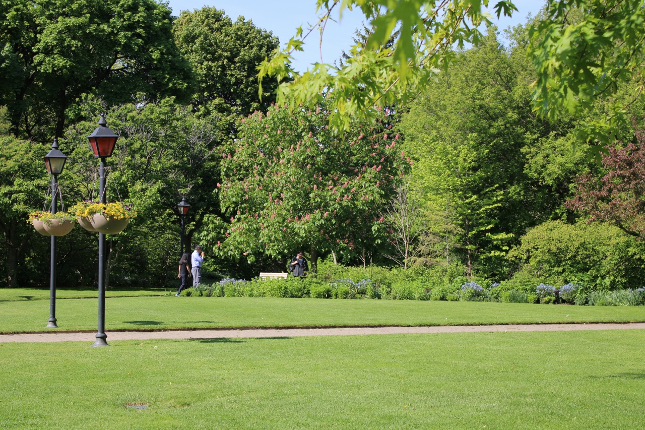 Park- och grönyteskötsel